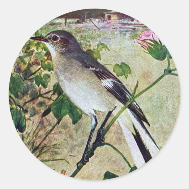 Sticker Rond Colibri (Devant)