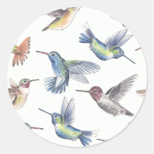 Sticker Rond Colibri
