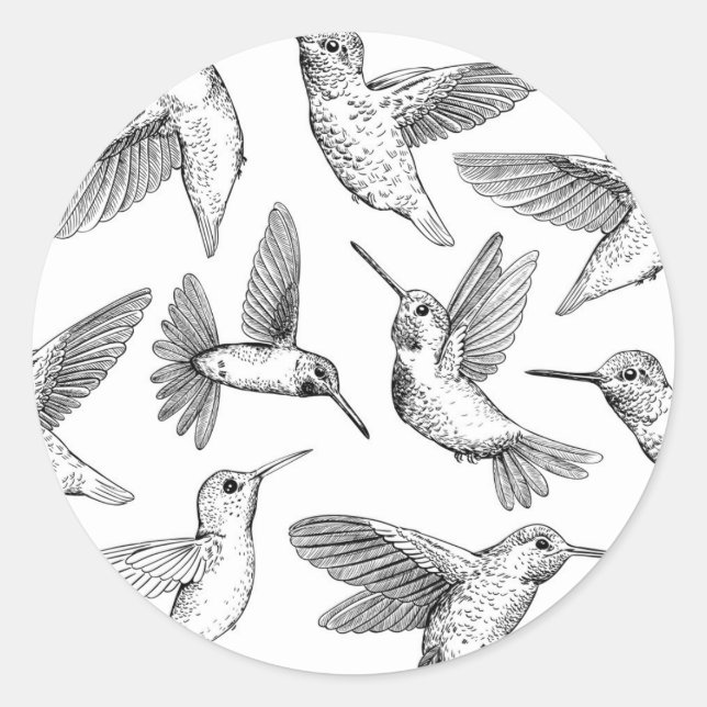 Sticker Rond Colibri (Devant)