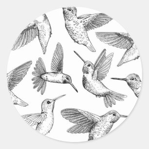 Sticker Rond Colibri