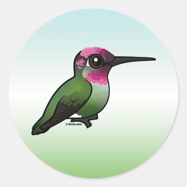 Sticker Rond Colibri d'Anna (Devant)