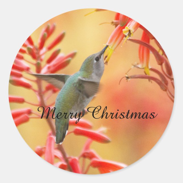 Sticker Rond Colibri entouré de yucca, Joyeux Noël (Devant)
