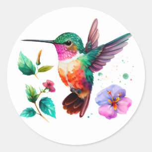 Sticker Rond Colibri et fleurs aux couleurs vives