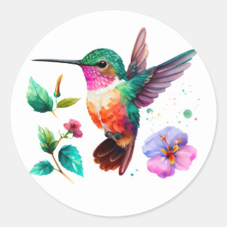 Sticker Rond Colibri et fleurs aux couleurs vives