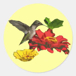 Sticker Rond Colibri et Zinnias