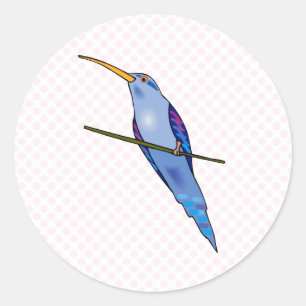 Sticker Rond Colibri Harriot
