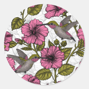 Sticker Rond Colibris et fleurs d'hibiscus roses