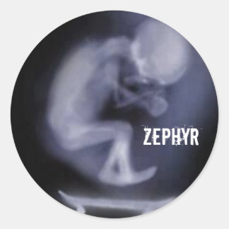 Sticker Rond colle Zephyr Planche à roulettes