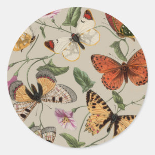 Sticker Rond Collection de la papillon Moth Nature Dessin