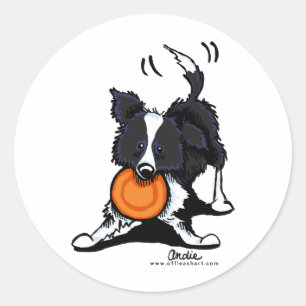 Sticker Rond Collie frontalier en jeu