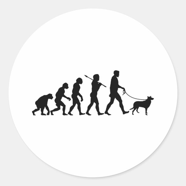 Sticker Rond Collie lisse (Devant)