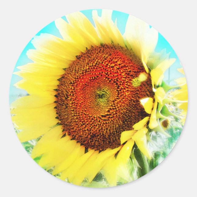 Sticker Rond Collier de tournesol (Devant)