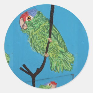 Sticker Rond collier vert de perroquet