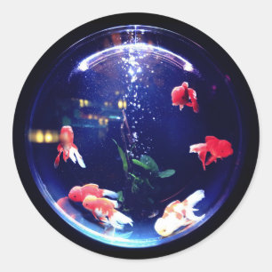 Sticker Rond Colonne d'aquarium de la cuvette d'or