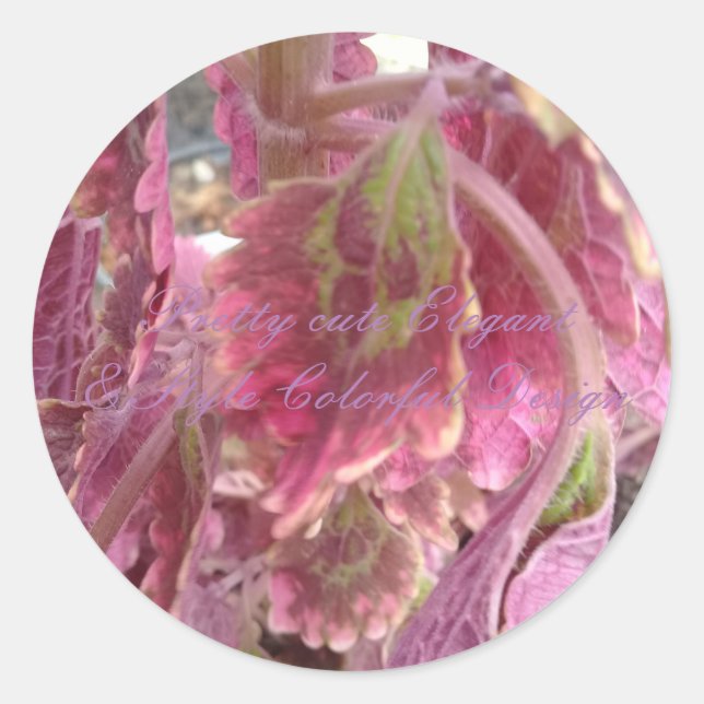 Sticker rond coloré assez élégant et élégant (Devant)