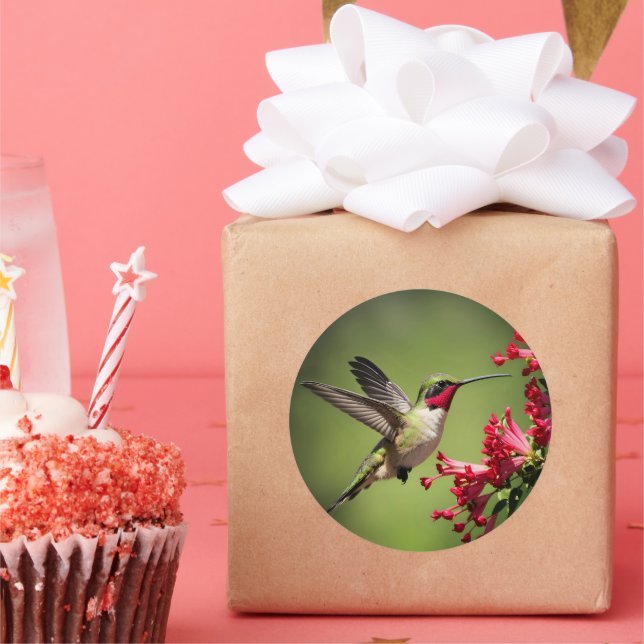 Sticker Rond Colorful Hummingbird (Fête)