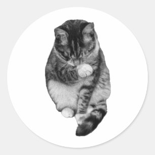 Sticker Rond Compagnon Hush-Tail