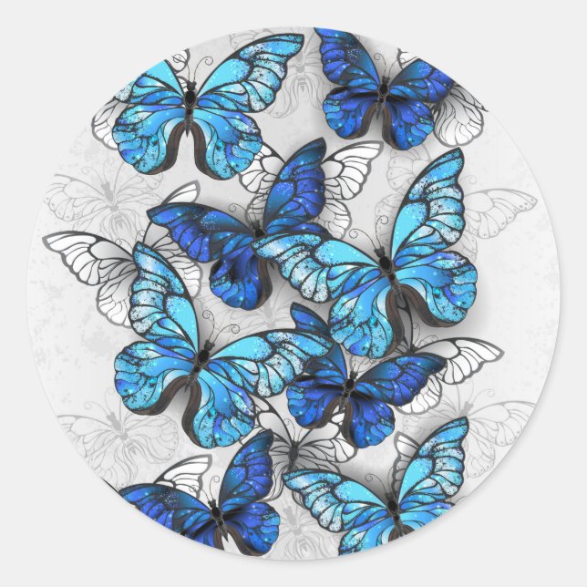 Sticker Rond Composition des White and Blue Butterflies (Devant)