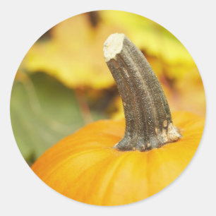 Sticker Rond Conception automne