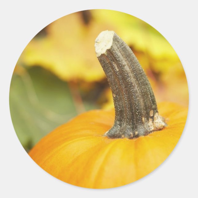 Sticker Rond Conception automne (Devant)