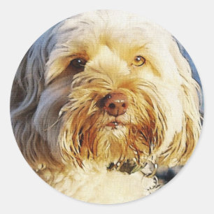 Sticker Rond Conception de chiens pour les amateurs de moules
