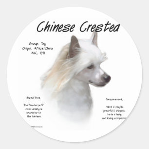 Sticker Rond Conception de l'histoire de la crête chinoise (pou