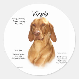 Sticker Rond Conception de l'histoire de Vizsla