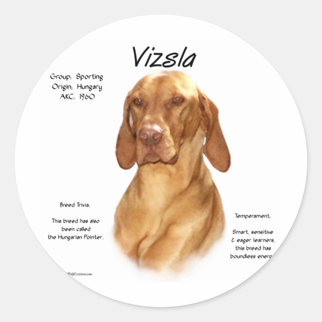 Sticker Rond Conception de l'histoire de Vizsla (Devant)