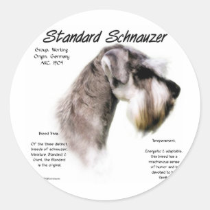 Sticker Rond Conception de l'historique Schnauzer Standard