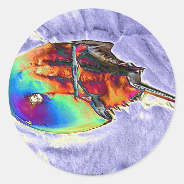 Sticker Rond Conception de l'huile de fer à cheval (Devant)