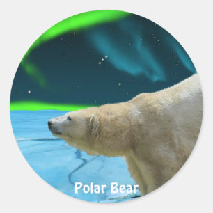 Sticker Rond Conception de l'ours pour les animaux et les anima