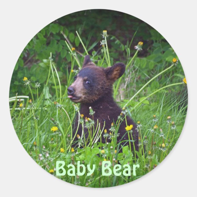 Sticker Rond Conception de l'ours pour les animaux et les anima (Devant)