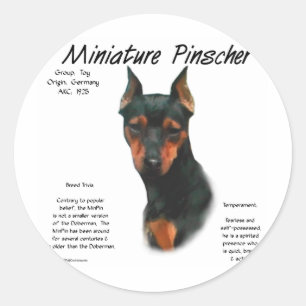 Sticker Rond Conception d'histoire de Pinscher miniature