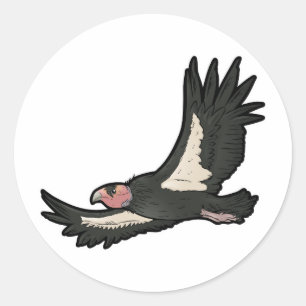 Sticker Rond Condor de Californie