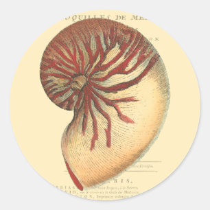 Sticker Rond Conque rouge vintage Shell