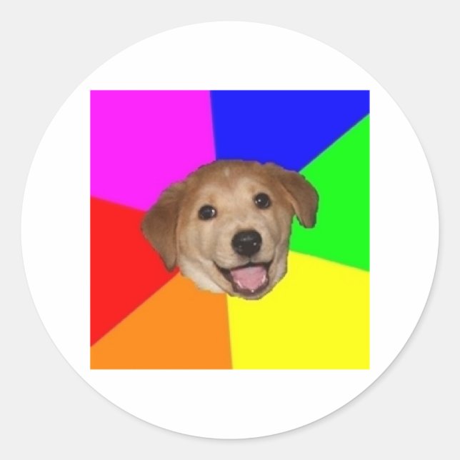 Sticker Rond Conseils Chien Conseils Animal Meme (Devant)