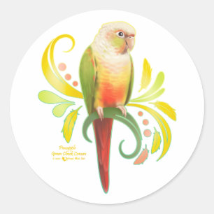 Sticker Rond Conure à la poitrine verte d'ananas
