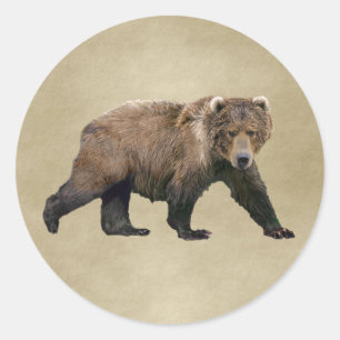 Sticker Rond Cook bear