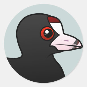 Sticker Rond Coot américain