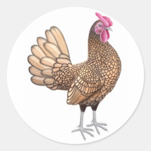 Sticker Rond Coq de coq nain de Sebright