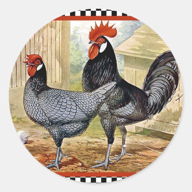 Sticker Rond Coq de poulet vintage (Devant)