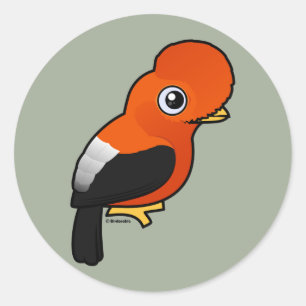 Sticker Rond Coq de rocher andin