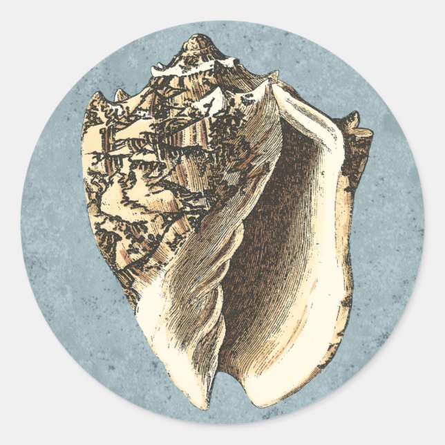 Sticker Rond Coque conique en pierre (Devant)