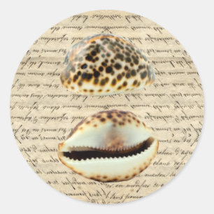 Sticker Rond Coques de cowrie