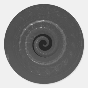 Sticker Rond coquille