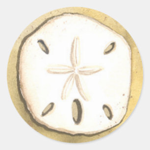 Sticker Rond Coquille de la mer de sable Dollar