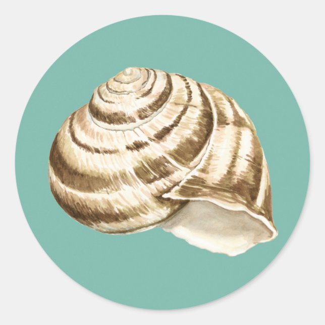 Sticker Rond Coquille striée Sepia sur Turquoise (Devant)