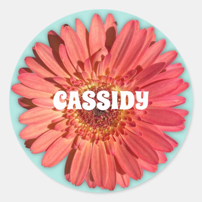 Sticker Rond Corail couleur Gerbera Daisy Photo Mint Vert (Devant)