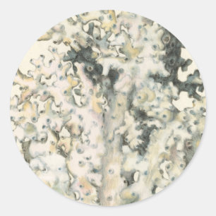 Sticker Rond Corail d'aquarelle antique