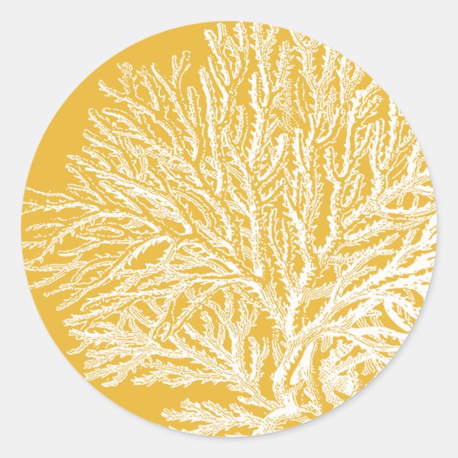 Sticker Rond Corail jaune et blanc (Devant)